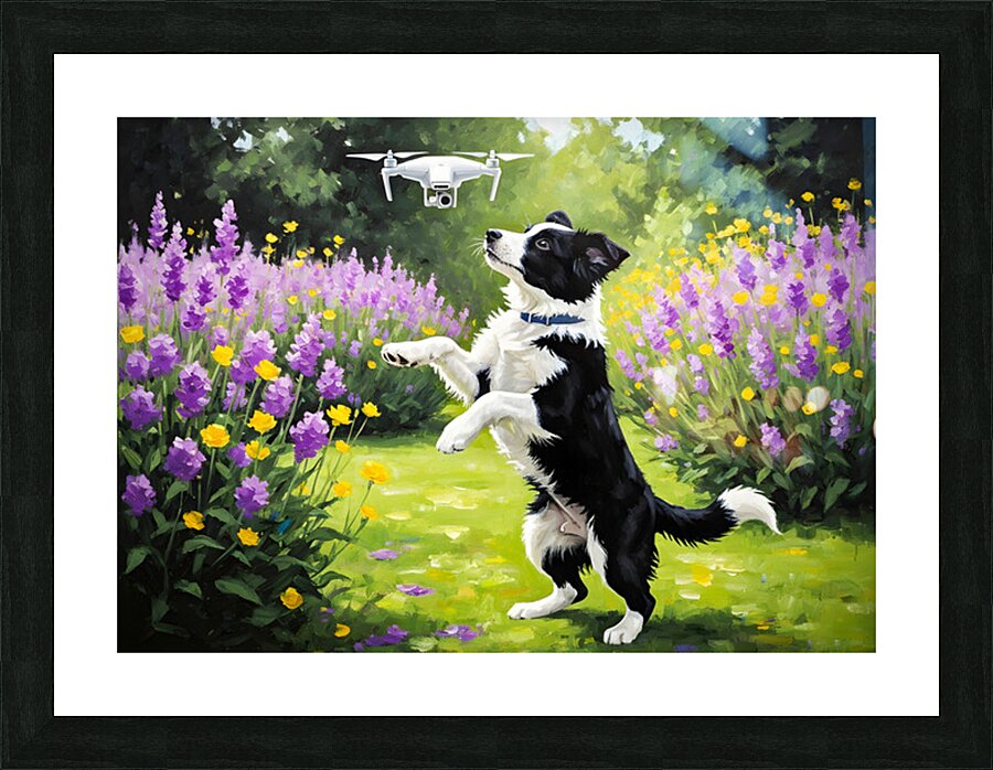 Border Collie Puppy Spots Something In The Sky Picture Frame print
