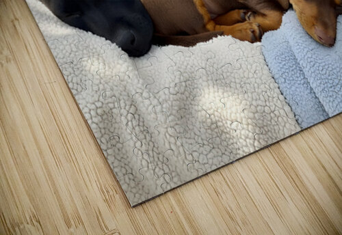 Sleepy Brown Dachshund Puppy Cuddling With Tired Siblings Puppy Prints puzzle