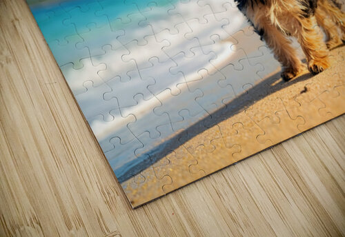 Yorkshire Terrier Puppy Discovers The Beach Puppy Prints puzzle