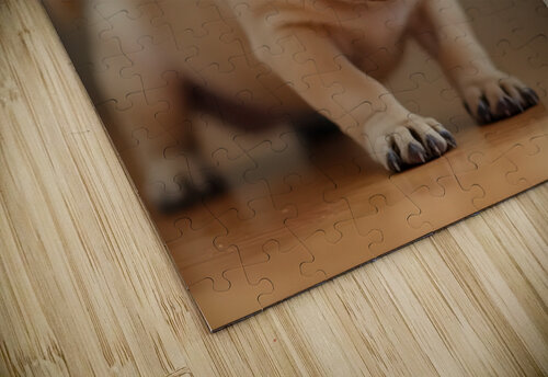 Pug Puppy Discovers The Pet Door Puppy Prints puzzle