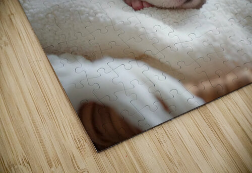 Peaceful Shih Tzu Puppy Sleeps In Cream Towels Puppy Prints puzzle