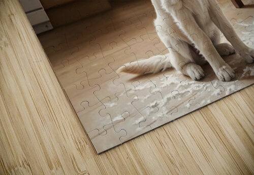 Hopeful Puppy After Kitchen Adventure Ends Puppy Prints puzzle