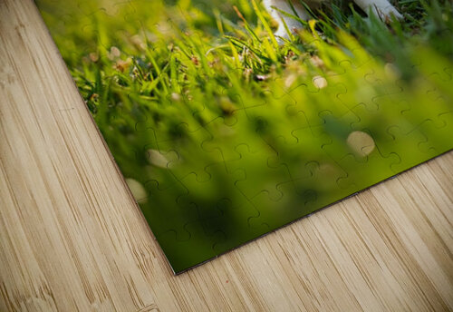 Pembroke Welsh Corgi Puppy Ready To Play With Siblings Puppy Prints puzzle