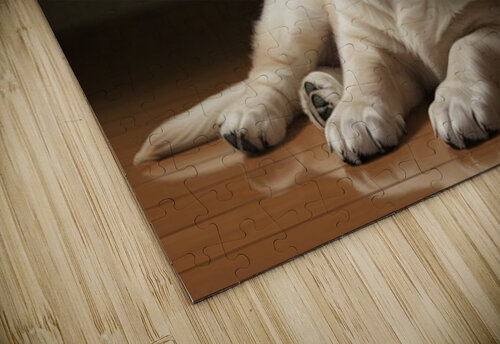 Golden Retriever Puppy Fast Asleep Sitting Upright Puppy Prints puzzle
