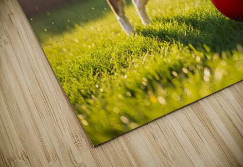 Beagle Puppys Energetic Ball Chase Adventure Puppy Prints puzzle