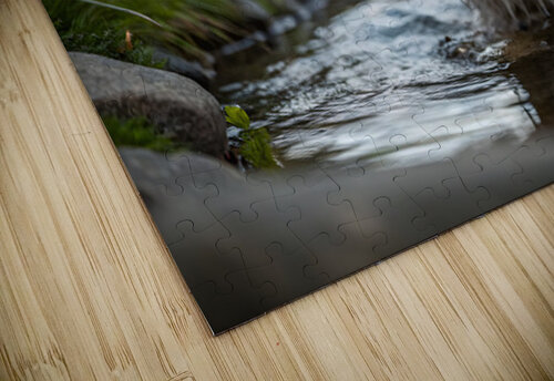 Australian Shepherd Puppy Emerges From Pond Water Puppy Prints puzzle