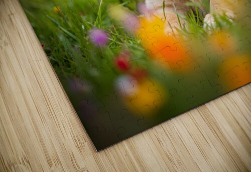 Golden Puppy Discovers The Perfect Stretch Position Puppy Prints puzzle