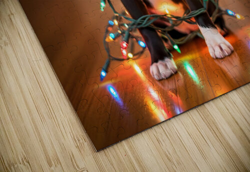 Boston Terrier Puppy Discovers Sparkling Christmas Lights Puppy Prints puzzle