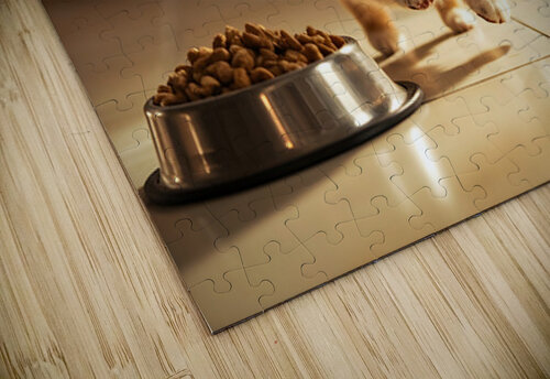Excited Pomeranian Puppy Celebrates Full Food Bowl Puppy Prints puzzle