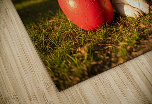 Exhausted BulldogPuppy Rests By Giant Ball Puppy Prints puzzle
