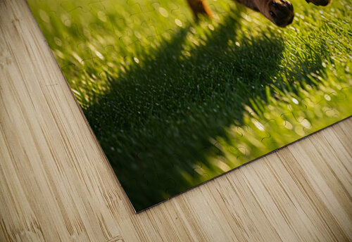 Happy Dachshund Puppy Celebrates Training Success Puppy Prints puzzle