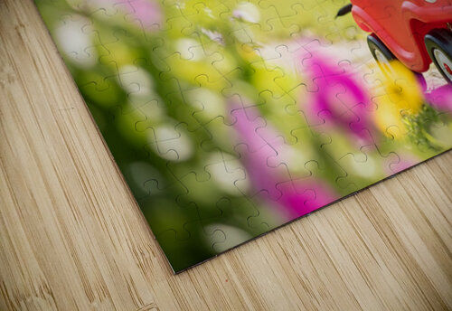 Dachshund Puppy Ready For Adventure In Red Toy Car Puppy Prints puzzle