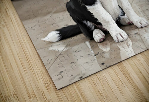 Border Collie Puppy Anticipates Delicious Treat Puppy Prints puzzle