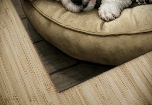 Bichon Frise Puppy Dreams Peacefully Puppy Prints puzzle