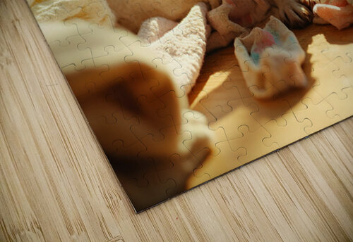 Chihuahua Puppy Discovers Laundry Adventure Puppy Prints puzzle