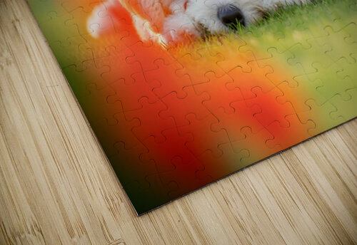 Tired Bichon Frise Puppies Resting After Playing In The Garden Puppy Prints puzzle