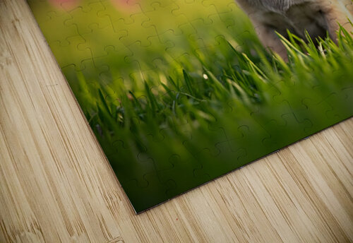 Pug Puppy Discovers Fun Game In Garden Puppy Prints puzzle