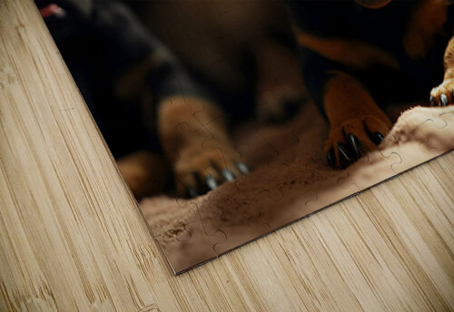 Rottweiler Puppys Big Yawn With Friends Puppy Prints puzzle