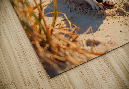 Proud Corgi Pup Admires Digging Achievement Puppy Prints puzzle