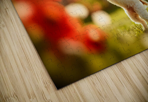 Shih Tzu Puppy Discovers Beautiful Butterfly In Garden Puppy Prints puzzle