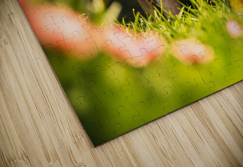 Happy Puppy Celebrates His Cat Flap Adventure Puppy Prints puzzle