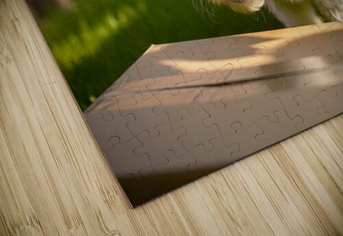 Bichon Frise Puppy Discovers Mysterious Garden Box Puppy Prints puzzle