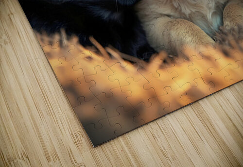 Pug Puppy Rests After Exciting Play Session Puppy Prints puzzle