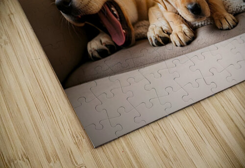 Golden Puppy Finds Spot On Crowded Couch Puppy Prints puzzle