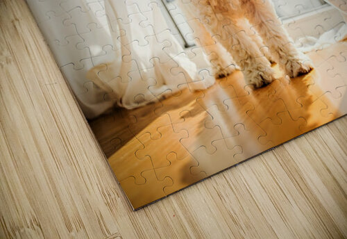 Poodle Puppy Peeking Behind Burgundy Curtains Puppy Prints puzzle