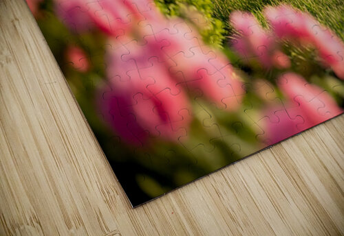 French Bulldog Puppy Discovers A Big Red Hat Puppy Prints puzzle