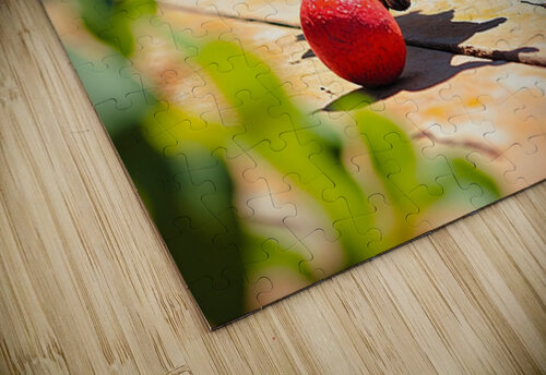 Dachshund Puppys Morning Garden Bounce Puppy Prints puzzle