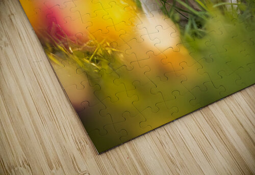 French Bulldog Puppys Cozy Evening Sploot By Fireplace Puppy Prints puzzle