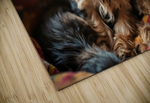 Yorkshire Terrier Puppy Sleeps Peacefully In Blankets Puppy Prints puzzle