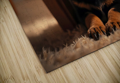 Rottweiler Puppy Joins The Family Fun Puppy Prints puzzle