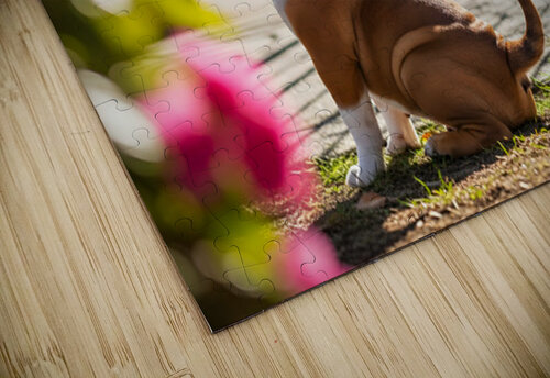 Bulldog Puppy Waits By School Gate Puppy Prints puzzle