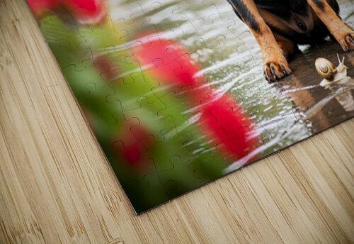 Happy Puppy Walks Away From Peaceful Garden Encounter Puppy Prints puzzle