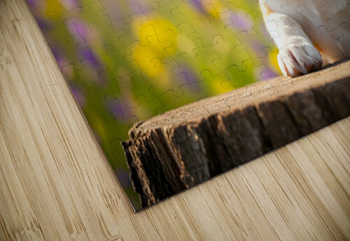 Beagle Puppy Claims His Royal Throne Puppy Prints puzzle