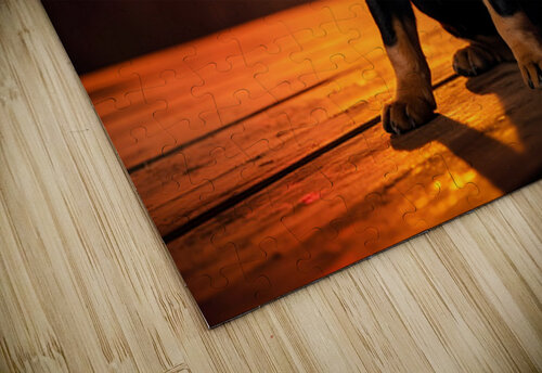 Rottweiler Puppy Watches First Fireworks Display Puppy Prints puzzle