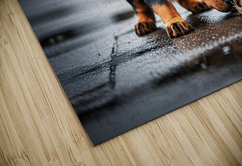 Rottweiler Puppy Discovers Garden Snail On Rainy Day Puppy Prints puzzle