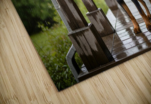 Joyful Rottweiler Puppy Wags Tail Under Porch Puppy Prints puzzle