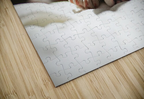 Bulldog Puppy Perfect Portrait Pose Puppy Prints puzzle