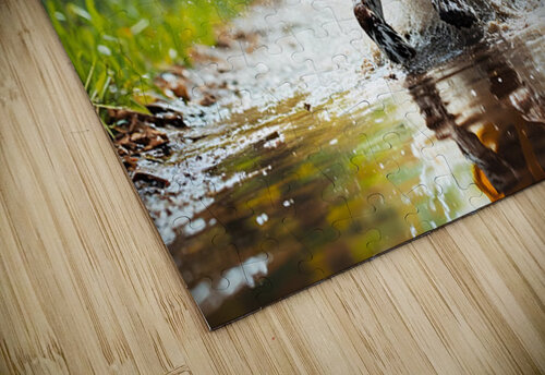 German Shorthaired Pointer Puppy Ready For Rainy Adventure Puppy Prints puzzle