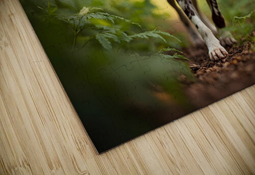 German Shorthaired Pointer Puppy Explores Forest Trail Puppy Prints puzzle