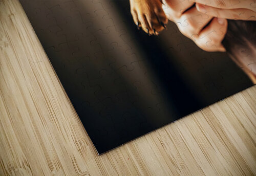 Dachshund Puppy Arrives At The Veterinary Clinic Puppy Prints puzzle