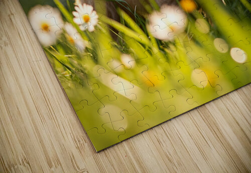 Golden Retriever Puppy Discovers Park Fence Puppy Prints puzzle