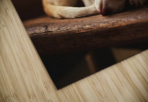 Chihuahua Puppy Dreams Peacefully On Rocking Chair Puppy Prints puzzle