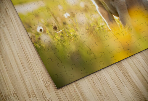 Patient Puppy Rests While Maintaining His Faithful Watch Puppy Prints puzzle