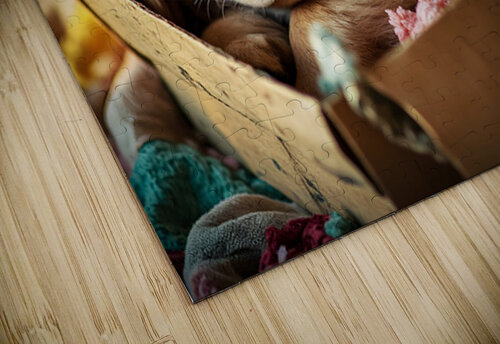 Golden Retriever Puppy Ready To Leave Box Fort Puppy Prints puzzle