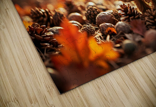 Yorkshire Terrier Puppy Discovers Cinnamon Sticks Puppy Prints puzzle