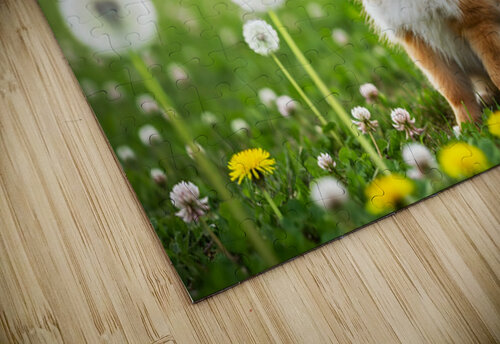 Playful Pomeranian Puppy Finds New Fun Around The Tree Puppy Prints puzzle